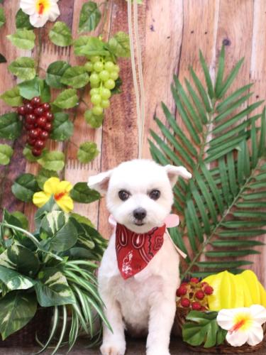 20230802うららちゃん